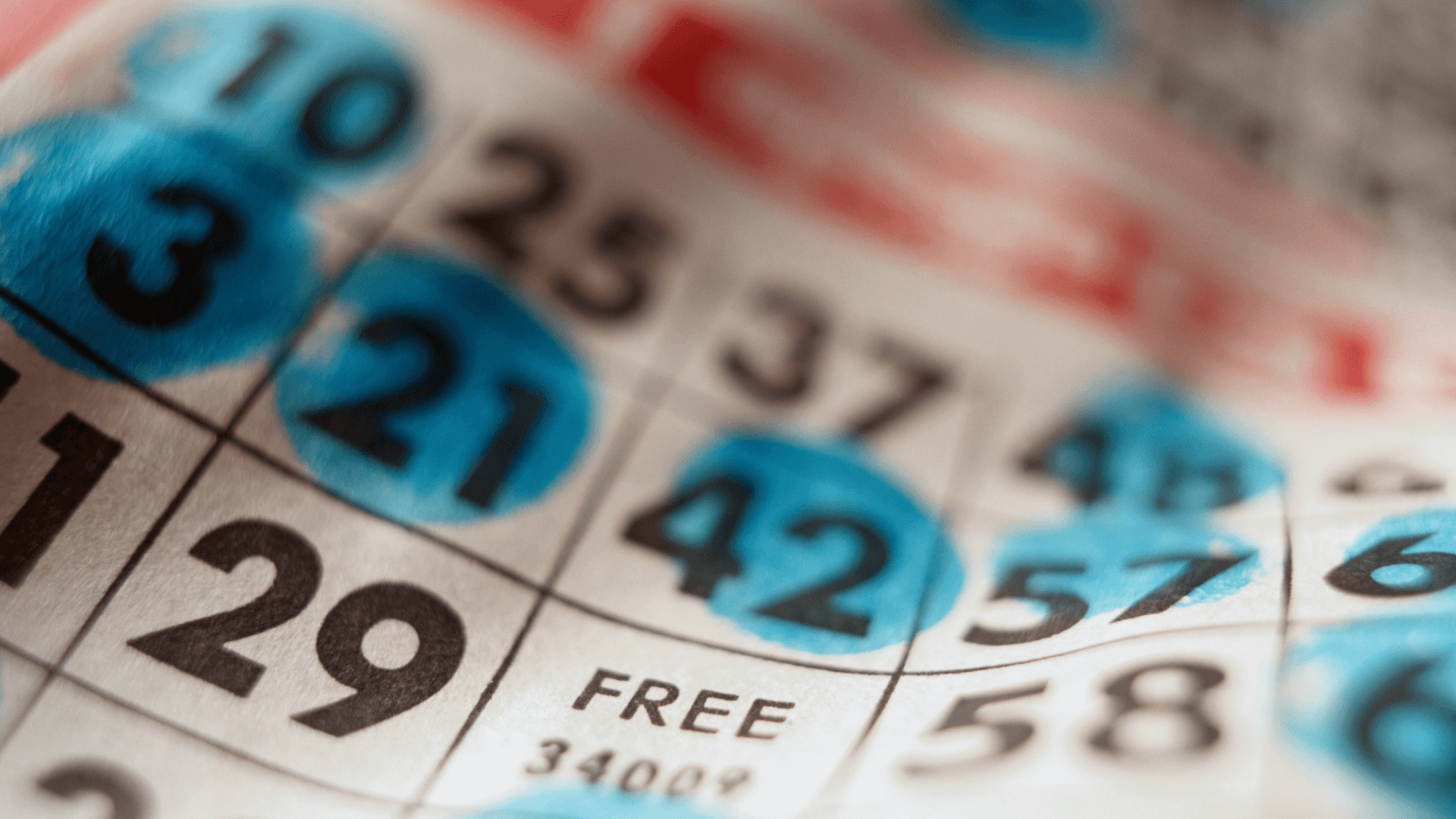 Alt om online bingokort og opkald image