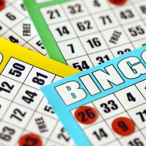 LÃ¦r hvordan du spiller bingo online